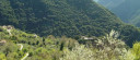 Filename=image_8.jpg
Filesize=34KiB
Dimensions=600x260
Date added=Nov 15, 2024 image_8.jpg