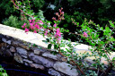 Filename=24.jpg
Filesize=271KiB
Dimensions=1400x933
Date added=Nov 15, 2024 24.jpg
