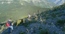 Filename=ardinis22.jpg
Filesize=151KiB
Dimensions=900x480
Date added=Nov 15, 2024 ardinis22.jpg