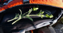 Filename=ardinis24.jpg
Filesize=137KiB
Dimensions=900x480
Date added=Nov 15, 2024 ardinis24.jpg