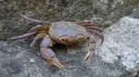 Filename=potami16.jpg
Filesize=104KiB
Dimensions=900x506
Date added=Nov 15, 2024 potami16.jpg