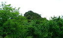 Filename=6.jpg
Filesize=70KiB
Dimensions=900x550
Date added=Nov 15, 2024 6.jpg