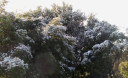 Filename=4.jpg
Filesize=80KiB
Dimensions=900x550
Date added=Nov 15, 2024 4.jpg