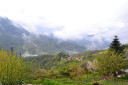 Filename=DSC_2056.jpg
Filesize=171KiB
Dimensions=1024x683
Date added=Nov 15, 2024 DSC_2056.jpg