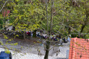Filename=DSC_2157.jpg
Filesize=319KiB
Dimensions=1024x683
Date added=Nov 15, 2024 DSC_2157.jpg