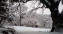 Filename=image_10.jpg
Filesize=77KiB
Dimensions=850x460
Date added=Nov 15, 2024 image_10.jpg