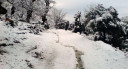Filename=image_11.jpg
Filesize=68KiB
Dimensions=850x460
Date added=Nov 15, 2024 image_11.jpg