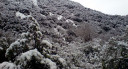 Filename=image_12.jpg
Filesize=92KiB
Dimensions=850x460
Date added=Nov 15, 2024 image_12.jpg