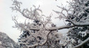 Filename=image_13.jpg
Filesize=72KiB
Dimensions=850x460
Date added=Nov 15, 2024 image_13.jpg
