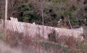 Filename=12.JPG
Filesize=130KiB
Dimensions=900x550
Date added=Nov 15, 2024 12.JPG