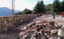 Filename=18.JPG
Filesize=104KiB
Dimensions=900x550
Date added=Nov 15, 2024 18.JPG