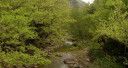 Filename=image_4.jpg
Filesize=103KiB
Dimensions=799x427
Date added=Nov 15, 2024 image_4.jpg