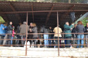 Filename=0.jpg
Filesize=91KiB
Dimensions=960x640
Date added=Nov 15, 2024 0.jpg