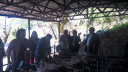 Filename=0025.jpg
Filesize=337KiB
Dimensions=2048x1152
Date added=Nov 15, 2024 0025.jpg