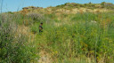 Filename=archaia_antissa06_2010_33.jpg
Filesize=199KiB
Dimensions=900x500
Date added=Nov 15, 2024 archaia_antissa06_2010_33.jpg