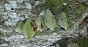 Filename=ardinis21.jpg
Filesize=88KiB
Dimensions=900x480
Date added=Nov 15, 2024 ardinis21.jpg