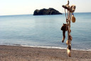 Filename=eresos3.jpg
Filesize=142KiB
Dimensions=950x651
Date added=Nov 15, 2024 eresos3.jpg