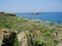 Filename=gavathas1_61.jpg
Filesize=154KiB
Dimensions=960x720
Date added=Nov 15, 2024 gavathas1_61.jpg