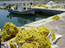 Filename=gavathas1_8.jpg
Filesize=141KiB
Dimensions=960x720
Date added=Nov 15, 2024 gavathas1_8.jpg