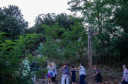 Filename=normal_1_283429~1.jpg
Filesize=30KiB
Dimensions=400x264
Date added=Nov 15, 2024 normal_1_283429~1.jpg