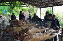 Filename=normal_DSC_2087~0.JPG
Filesize=35KiB
Dimensions=400x266
Date added=Nov 15, 2024 normal_DSC_2087~0.JPG