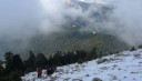 Filename=normal_ardinis20~0~0.jpg
Filesize=15KiB
Dimensions=400x231
Date added=Nov 15, 2024 normal_ardinis20~0~0.jpg