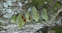 Filename=normal_ardinis21~1.jpg
Filesize=29KiB
Dimensions=400x213
Date added=Nov 15, 2024 normal_ardinis21~1.jpg