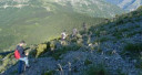 Filename=normal_ardinis22~1.jpg
Filesize=22KiB
Dimensions=400x213
Date added=Nov 15, 2024 normal_ardinis22~1.jpg