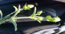 Filename=normal_ardinis23~1.jpg
Filesize=24KiB
Dimensions=400x213
Date added=Nov 15, 2024 normal_ardinis23~1.jpg