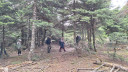Filename=1_281429.jpg
Filesize=1203KiB
Dimensions=2048x1153
Date added=Nov 16, 2024 1_281429.jpg