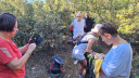 Filename=20240815_082548_28Copy29.jpg
Filesize=1174KiB
Dimensions=2048x1152
Date added=Nov 18, 2024 20240815_082548_28Copy29.jpg