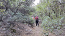 20240815_085029_28Copy29.jpg