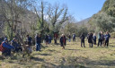 Filename=2_28229.jpg
Filesize=276KiB
Dimensions=973x582
Date added=Feb 10, 2025 2_28229.jpg