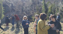 Filename=2_28529.jpg
Filesize=282KiB
Dimensions=1080x593
Date added=Feb 10, 2025 2_28529.jpg