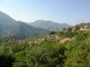 Filename=hom_ph_101.jpg
Filesize=167KiB
Dimensions=800x600
Date added=Nov 15, 2024 hom_ph_101.jpg