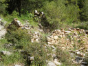 Filename=hom_ph_27.jpg
Filesize=286KiB
Dimensions=800x600
Date added=Nov 15, 2024 hom_ph_27.jpg