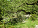 Filename=hom_ph_29.jpg
Filesize=278KiB
Dimensions=800x600
Date added=Nov 15, 2024 hom_ph_29.jpg