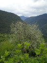 Filename=hom_ph_37.jpg
Filesize=158KiB
Dimensions=600x800
Date added=Nov 15, 2024 hom_ph_37.jpg