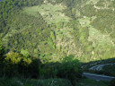 Filename=hom_ph_38.jpg
Filesize=189KiB
Dimensions=800x600
Date added=Nov 15, 2024 hom_ph_38.jpg