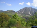 Filename=hom_ph_47.jpg
Filesize=159KiB
Dimensions=800x600
Date added=Nov 15, 2024 hom_ph_47.jpg