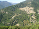 Filename=hom_ph_57.jpg
Filesize=208KiB
Dimensions=800x600
Date added=Nov 15, 2024 hom_ph_57.jpg