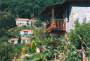 Filename=hom_ph_65.jpg
Filesize=213KiB
Dimensions=800x539
Date added=Nov 15, 2024 hom_ph_65.jpg
