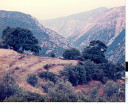 Filename=hom_ph_68.jpg
Filesize=174KiB
Dimensions=800x654
Date added=Nov 15, 2024 hom_ph_68.jpg