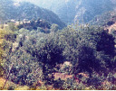 Filename=hom_ph_70.jpg
Filesize=228KiB
Dimensions=800x637
Date added=Nov 15, 2024 hom_ph_70.jpg