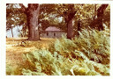 Filename=hom_ph_72.jpg
Filesize=216KiB
Dimensions=800x565
Date added=Nov 15, 2024 hom_ph_72.jpg
