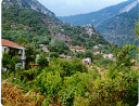 Filename=hom_ph_73.jpg
Filesize=222KiB
Dimensions=800x613
Date added=Nov 15, 2024 hom_ph_73.jpg