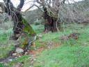 Filename=hom_ph_79.jpg
Filesize=230KiB
Dimensions=800x600
Date added=Nov 15, 2024 hom_ph_79.jpg