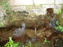 Filename=hom_ph_9.jpg
Filesize=248KiB
Dimensions=800x600
Date added=Nov 15, 2024 hom_ph_9.jpg