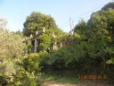 Filename=hom_ph_95.jpg
Filesize=211KiB
Dimensions=800x600
Date added=Nov 15, 2024 hom_ph_95.jpg