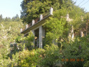 Filename=hom_ph_96.jpg
Filesize=255KiB
Dimensions=800x600
Date added=Nov 15, 2024 hom_ph_96.jpg
